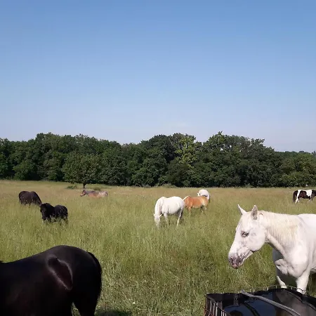 De Combelcau, Le Pigeonnier Vakantiehuis