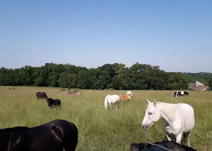 De Combelcau, Le Pigeonnier Prázdninový dům